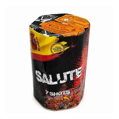 Pyro valencia Salute 7 sh vuurwerk kopen in België