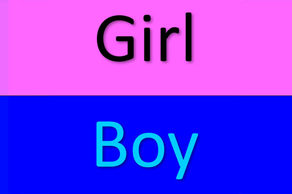 Gender Reveal te koop in Essen (grens met Nederland)